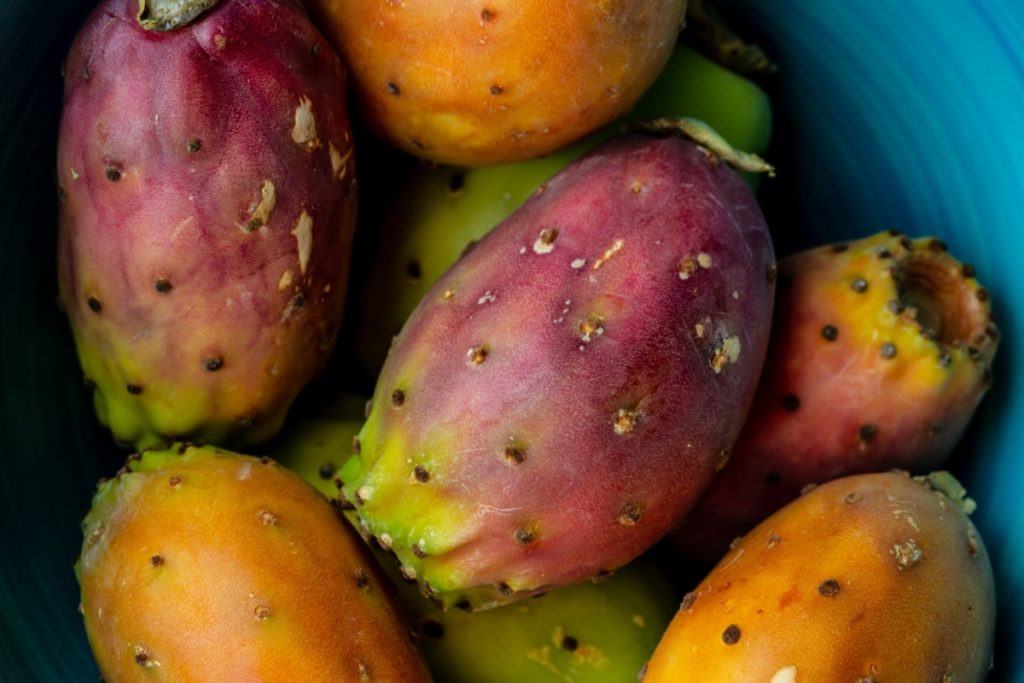 Tuna fruit on a plate in Mexico